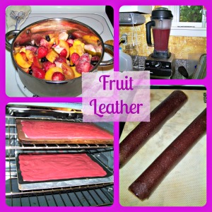 Fruit Leather