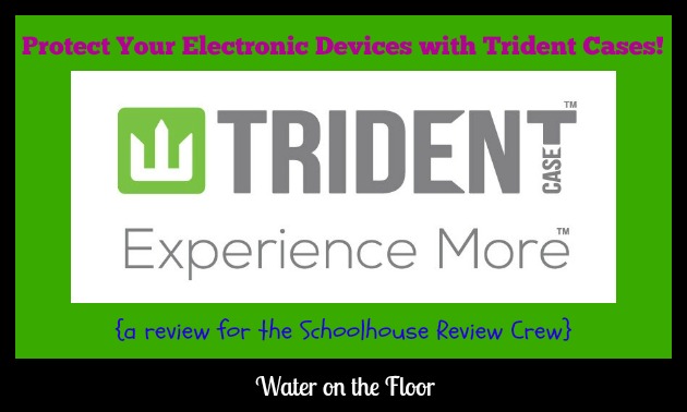 Trident Case review